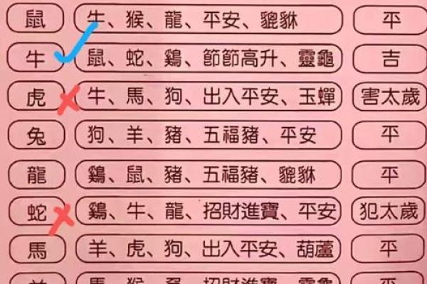 出生的人命运解析及运势特点 出生的人命运解析及运势特点