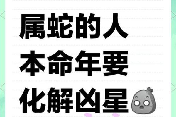出生的人属蛇,命运如何解析 出生的人属蛇,命运如何解析