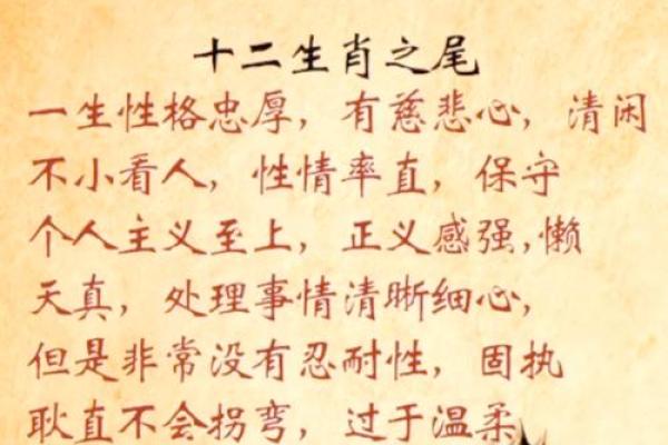 出生的人命运特点与生肖解析 出生的人命运特点与生肖解析