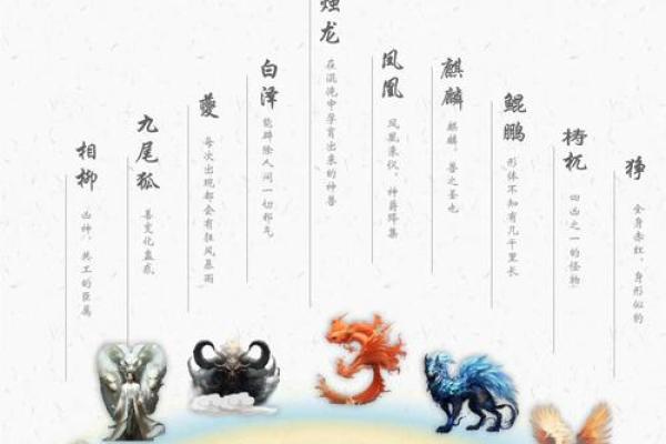 白泽五行的神秘力量与实际应用解析 白泽五行的神秘力量与实际应用解析