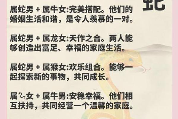 本命年蛇男如何调整生活节奏与优先事项 本命年蛇男如何调整生活节奏与优先事项