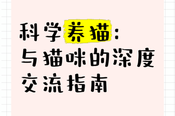 猫咪在家：如何通过养猫改变家庭风水格局