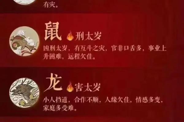本命年兔男如何拓宽自己的视野 本命年兔男如何拓宽自己的视野