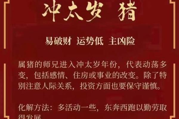 本命年蛇男的学业与事业发展方向 本命年蛇男的学业与事业发展方向