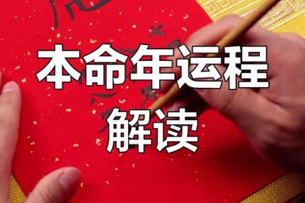 属虎人如何在本命年抓住机遇 属虎人如何在本命年抓住机遇
