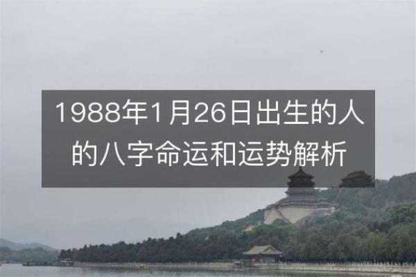 出生的命运特征与运势解析 出生的命运特征与运势解析