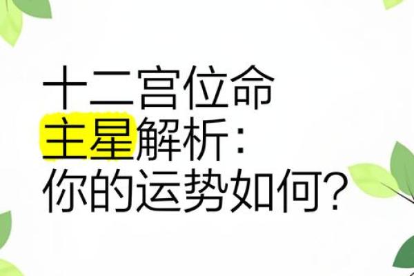 出生的命运特征与运势解析 出生的命运特征与运势解析