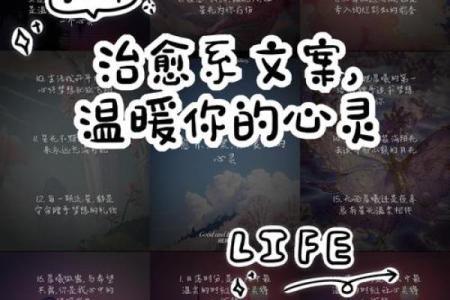 晨起时分，名字带来的温暖与勇气