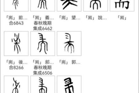 汏字五行解析：如何影响你的命运与运势