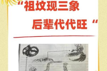 从移祖坟风水传说看祖先文化的深远影响