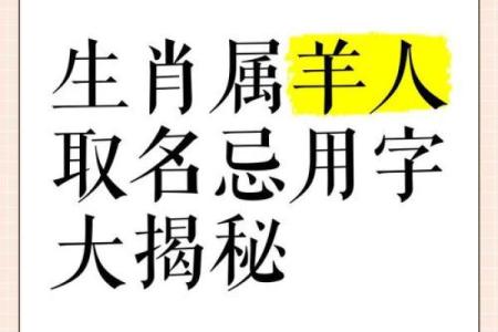 羊男宝宝起名指南：精选富有寓意的名字推荐