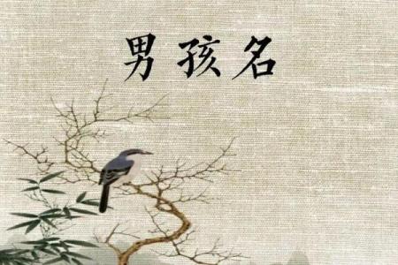 潮流名字风向标，如何选择与众不同的名字
