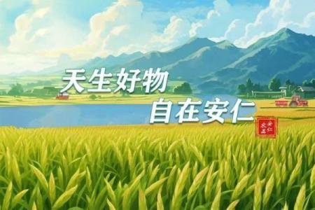 从农业到科技：如何起一个跨界融合的公司名