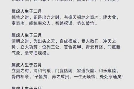 属虎人运势全解析：每月运程起伏与应对策略