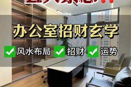 增强职场运气的办公室植物风水指南