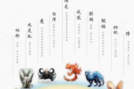 白泽五行的神秘力量与实际应用解析