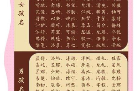 宝宝带辈起名字的传统意义与创新方式