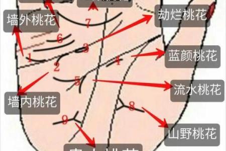 男命双桃花，如何克服感情生活中的复杂性