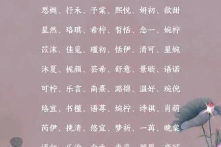 唤醒童年记忆的Candy名字与情感联系