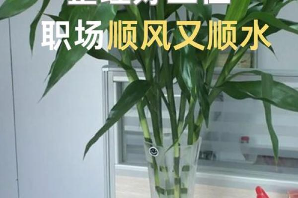 办公桌风水指南助你职场顺利 办公桌风水指南助你职场顺利