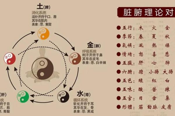 五行木土多的影响与调和方法解析 五行木土多的影响与调和方法解析