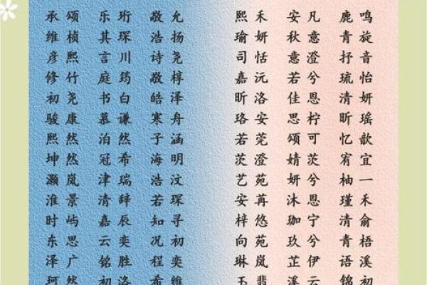 为蛇宝宝取个独特名字的创意指南