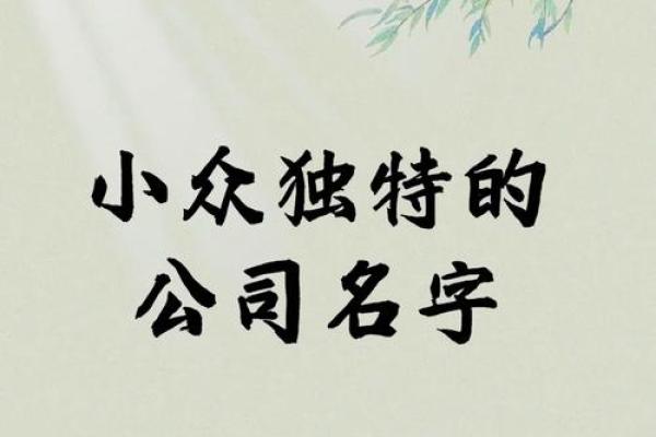 北京专业宝宝起名公司为您打造独特名字 北京专业宝宝起名公司为您打造独特名字