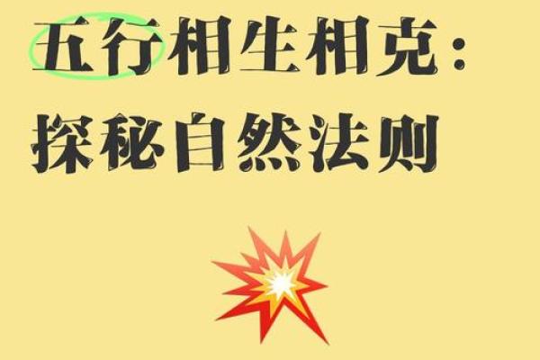 探索木水相配的哲学与自然法则 探索木水相配的哲学与自然法则