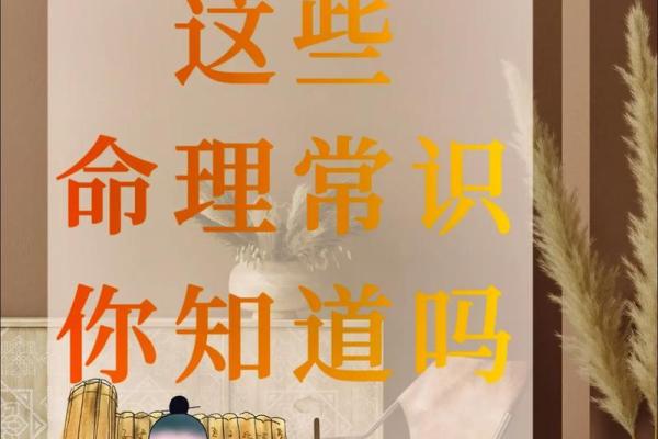 揭秘八字神学:如何通过命理预测人生走向? 揭秘八字神学:如何通过命理预测人生走向?