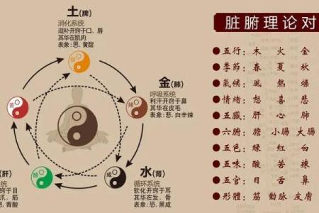 五行木土多的影响与调和方法解析