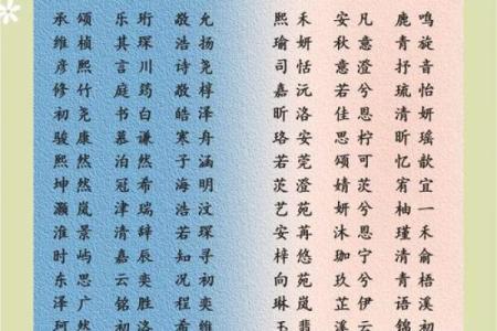 为蛇宝宝取个独特名字的创意指南