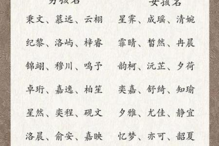 北京专业宝宝起名公司为您打造独特名字
