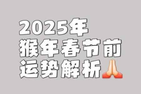 如何在猴年提升自身运势的五大策略