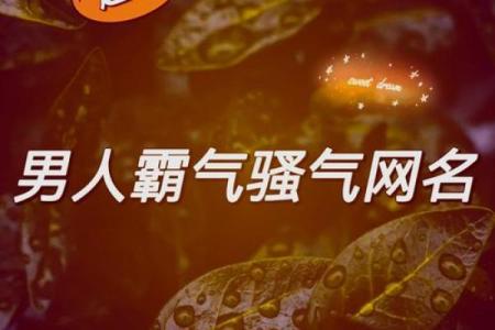 从经典到创意：适合各类游戏的名字灵感