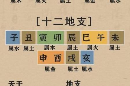 从零开始学算生辰八字，预测未来运势