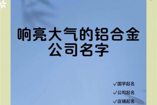 从名字到成功:兴起名字的公司背后的创新理念 从名字到成功:兴起名字的公司背后的创新理念