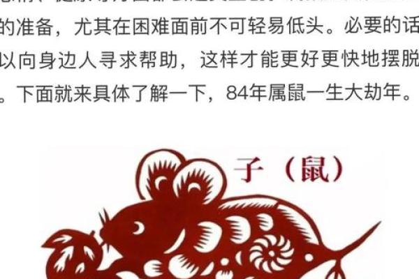 生肖运程详解:职场与财富的机遇与挑战 生肖运程详解:职场与财富的机遇与挑战