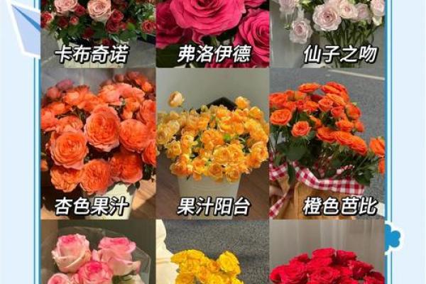 不同鲜花名字的浪漫故事 不同鲜花名字的浪漫故事