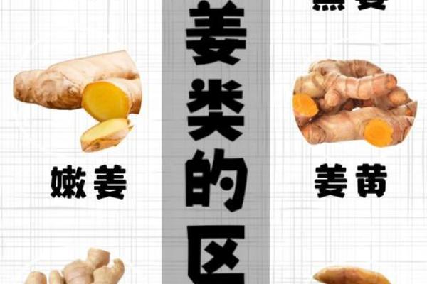 从姜字开始,探索带姜名字的独特魅力 从姜字开始,探索带姜名字的独特魅力