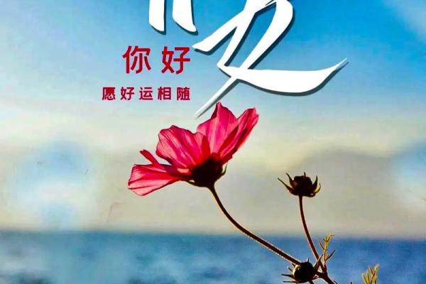 通过拍照了解你的运势走势 通过拍照了解你的运势走势