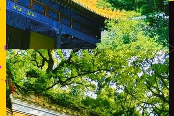 从命理看和尚命:那些命中注定适合修行的人 从命理看和尚命:那些命中注定适合修行的人