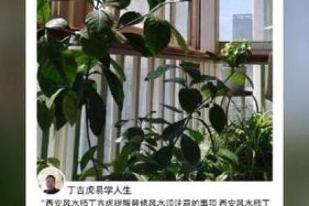 丁吉虎家居风水布局全攻略 带来平安与财富