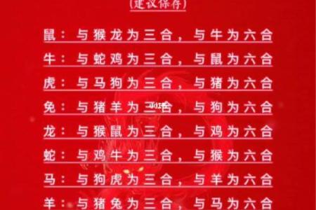十二生肖配对表：哪些组合注定相守一生