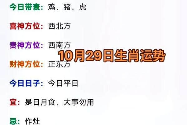 十二属相的事业与财富运势 十二属相的事业与财富运势