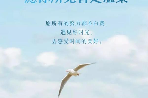 充满正能量的微信名字,传递阳光与希望 充满正能量的微信名字,传递阳光与希望