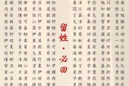 艾字在公司名称中的象征意义与应用