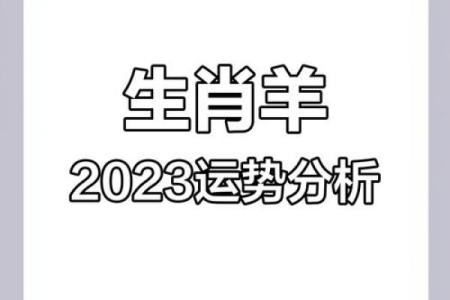 属羊人每月运势详解