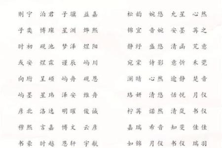 给男宝宝起个独特又有意义的名字