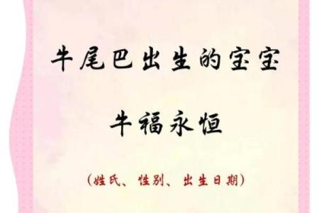 牛宝宝起名技巧与注意事项