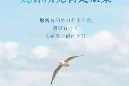充满正能量的微信名字，传递阳光与希望